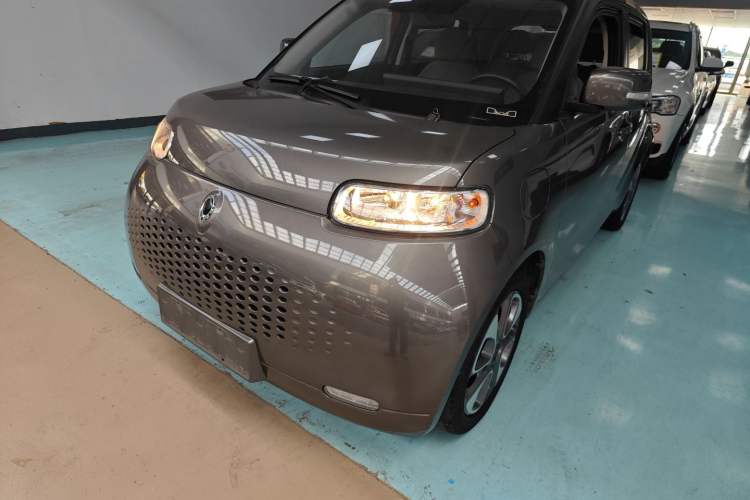 Used ORA White Cat 2022 Upgraded Model 305km Range Luxury Version Lithium-Ion Battery