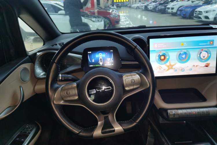 Used BYD Dolphin 2023 420 km Free Version Steering Wheel