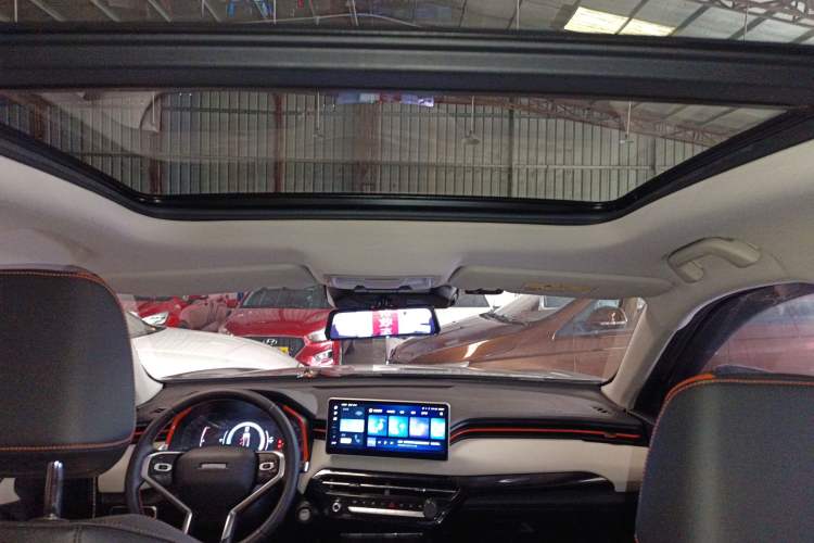 Used Haval LHERY 2021 High-Performance Version 1.5T Golden Rabbit