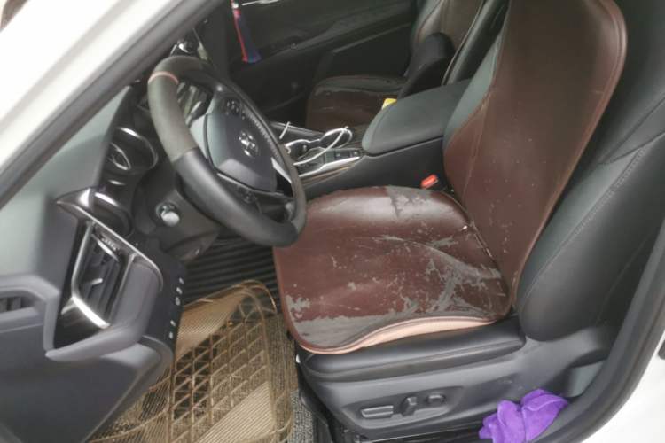 Used Toyota Camry 2019 2.0G Luxury Edition China VI Standard