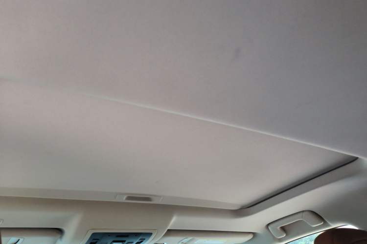 Used Lexus NX 2020 300h Front-Drive FENGSHANG Version China VI Standard Headliner