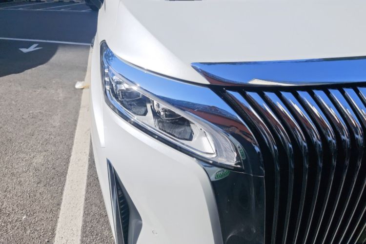 Used Wey Gaoshan 2025 Four-Wheel Drive Alpine 8 Right Front Headlight