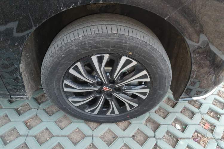 Used Hongqi HQ9 2024 2.0T Business Edition
