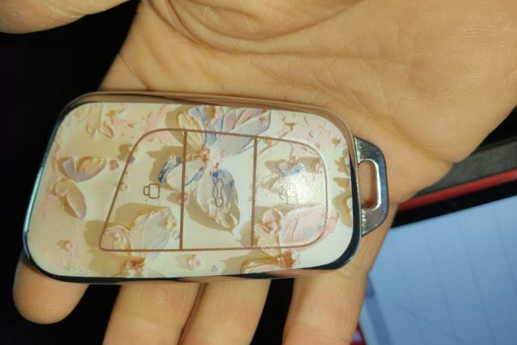 Used Chery Little Ant 2022 Restyled Version Sweet Pink Edition Half-Sugar Version 30.6 kWh 30 kW 301 km