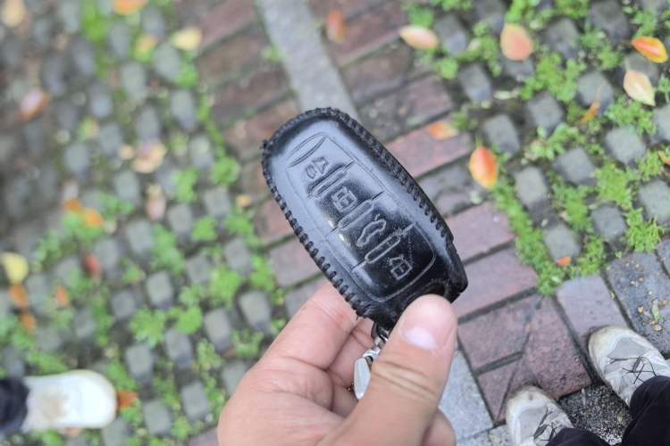 Used Haval F5 2019 National Trend Edition 1.5T i-Type China VI Standard