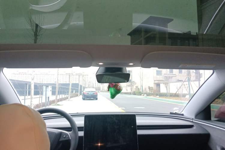 Used Tesla Model 3 2023 Rear-Wheel-Drive Version