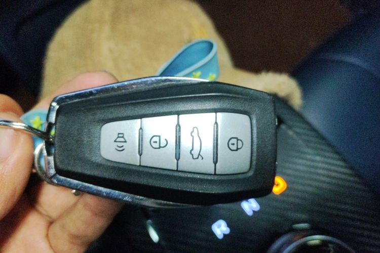 Used Geometry E Firefly 2022 401 km Linglong Tiger 4 Seats Vehicle Key