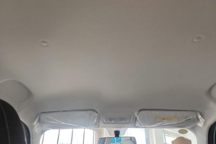 Used Cowin October 2025 Mate 300km Surfing Edition
