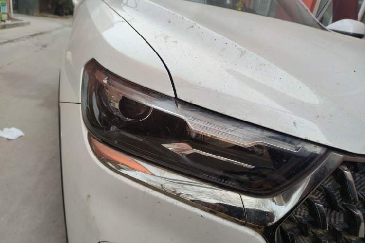 Used Haval H6 2023 National Trend Edition 1.5T Automatic Urban Version