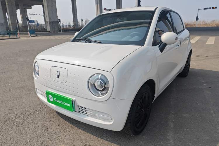 Used ORA Black Cat 2022 301km Base Version Ternary Lithium