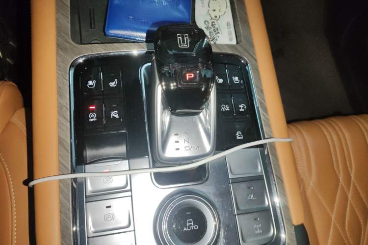 Used Tank 500 2022 3.0T Business Edition "Creation Realm" Design 5-Seater