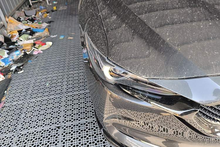 Used Mazda CX-5 2021 2.5L Automatic Two-Wheel Drive Black Knight