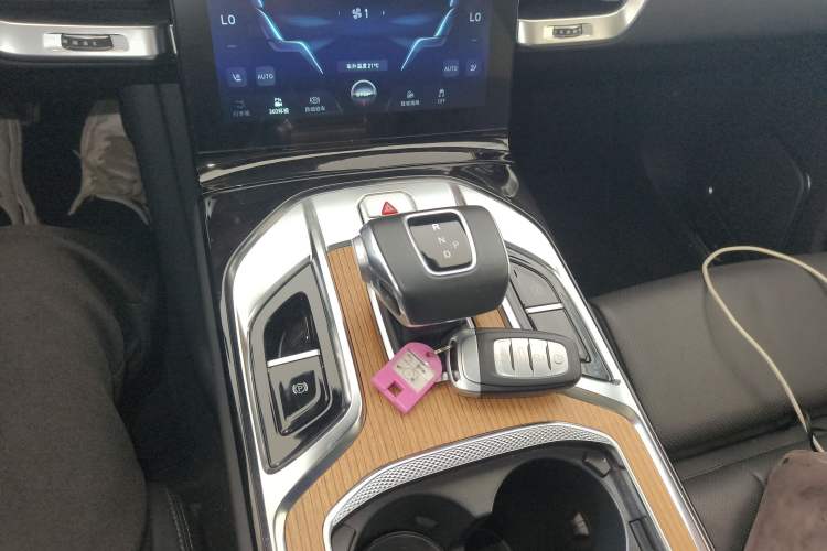 Used Hongqi E-HS9 2021 460 km Range Flagship Edition Six-Seater
