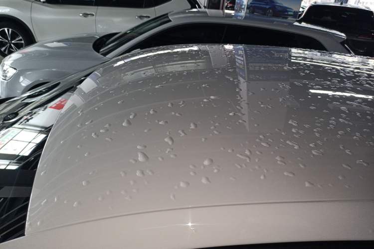 Used Volkswagen Polo 2018 1.5L Automatic Advanced Driving Model Roof