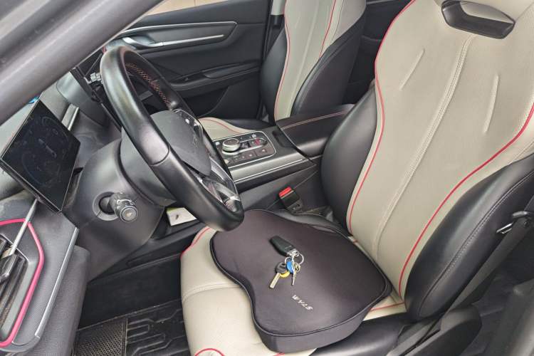 Used BYD Destroyer 05 2022 DM-i 55KM Prestige Model Left Front Seat