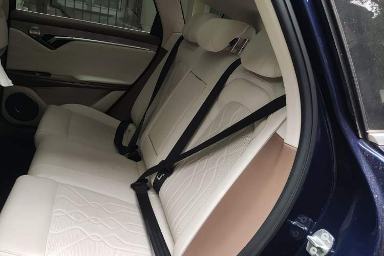 Used VOYAH FREE 2021 Two-Wheel Drive Standard Pure Electric City Edition Left Rear Seat