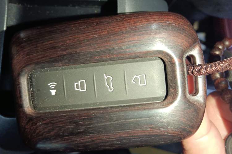 Used Tank 300 2025 2.4T Diesel Version