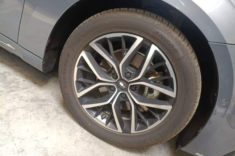 Used ORA Lightning Cat 2022 555 km Luxury Edition
