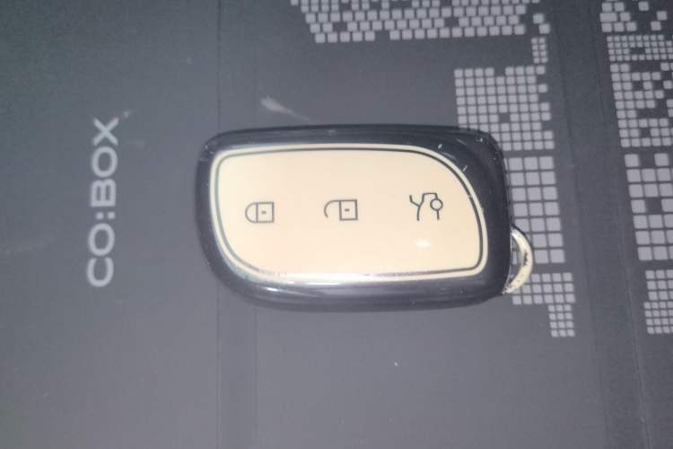 Used Lynk & Co Z20 2025 530 km Range Rear-Wheel Drive Pro Vehicle Key