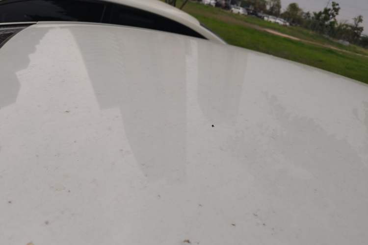 Used Honda Fit 2021 1.5L CVT Trend Edition