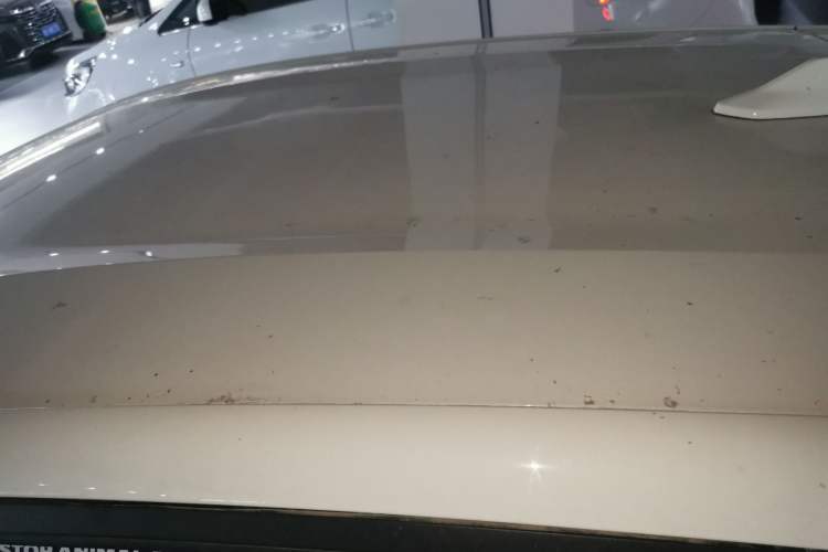 Used BYD Dolphin 2023 420 km Free Version Roof