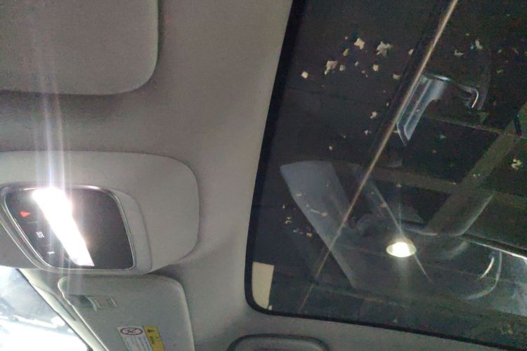 Used XPeng G6 2024 580 Long-Range Plus Headliner