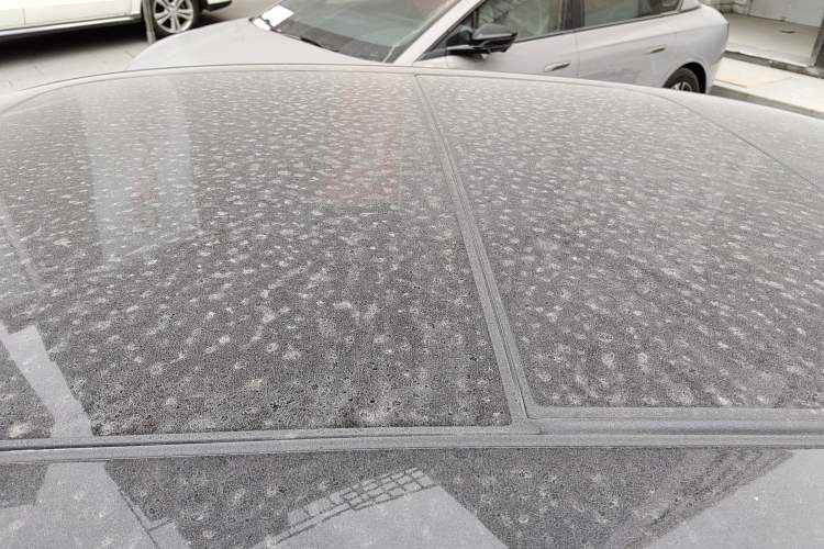 Used Hongqi H9 2022 2.0T Smart Connect Flagship Edition