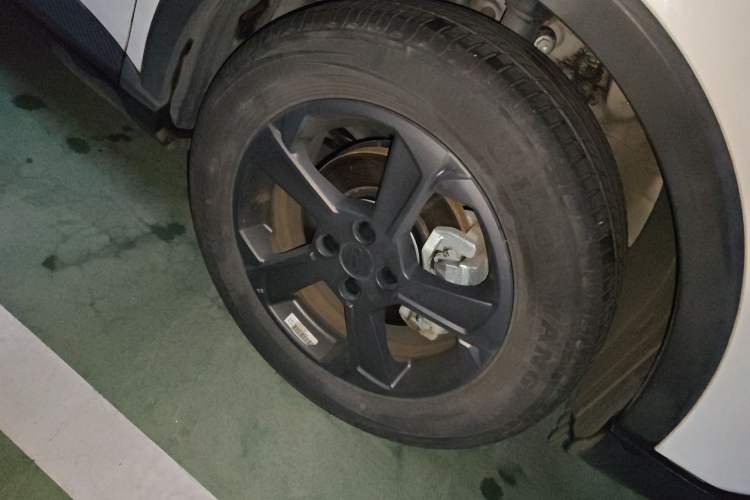 Used Geometry E Firefly 2023 401KM Linglong Tiger 5-Seater
