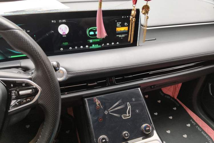 Used NETA U 2021 Pro 400 Cruiser Edition Audio And AC Panel