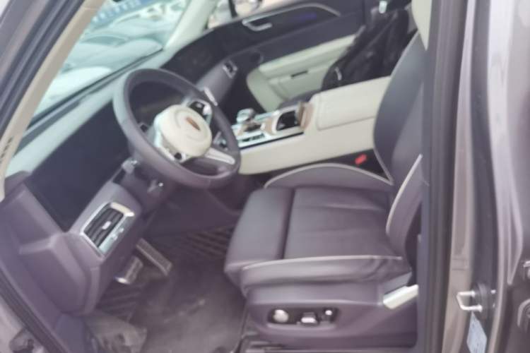 Used Hongqi E-HS9 2021 510 km Range Flagway Edition Six Seats Left Front Seat