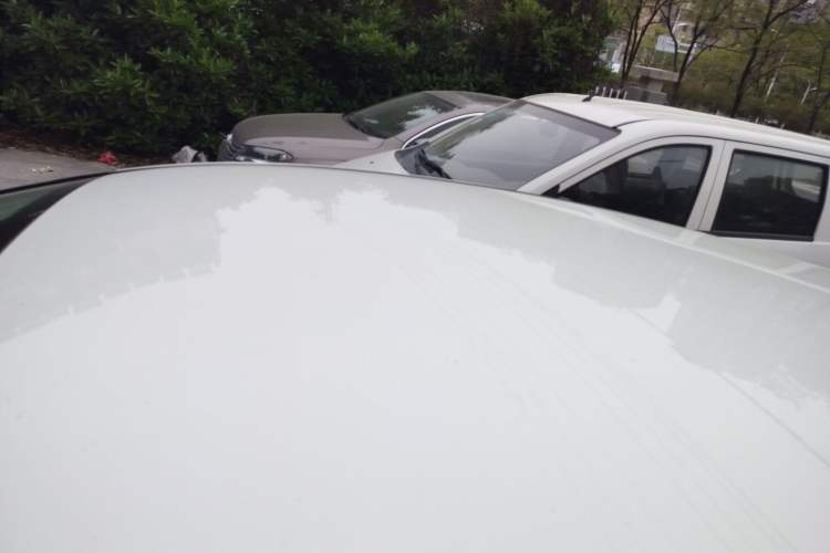 Used Ford Focus 2017 Hatchback 1.6L Automatic Comfort Plus SmartDrive Edition Roof