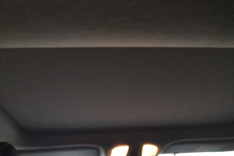 Used Hyundai Lafesta Electric 2020 DLX Enjoyment Edition
