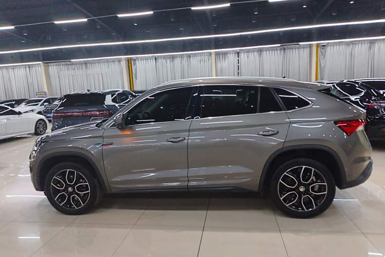 Used Skoda Kodiaq GT 2019 TSI330 Two-Wheel-Drive Luxury Edition China VI Standard Left Side