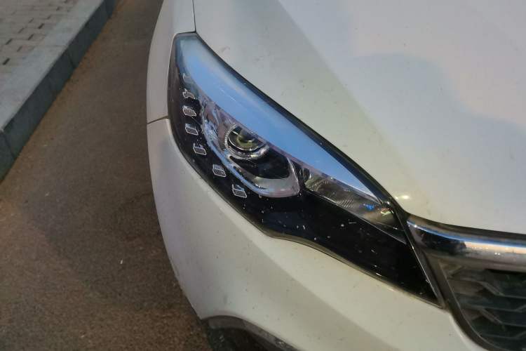 Used Leopaard CS10 2015 2.0T Manual Excellence Edition
