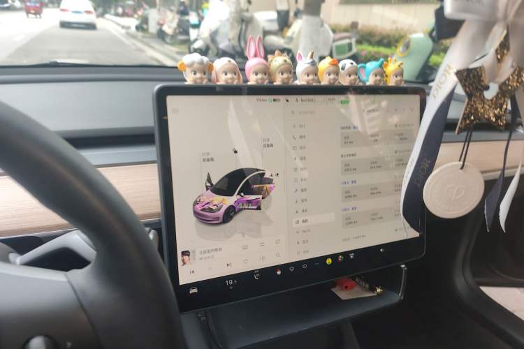 Used Tesla Model 3 2022 Rear-Wheel-Drive Version