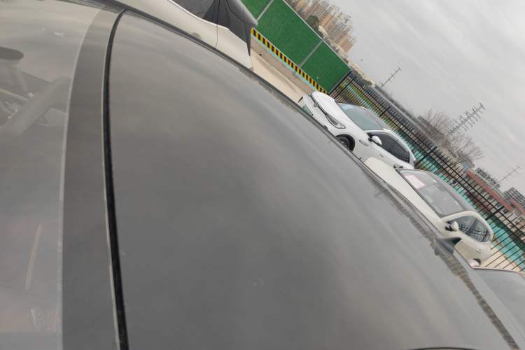 Used SOL E10X 2022 Flower Fairy Design Four-Leaf Clover
