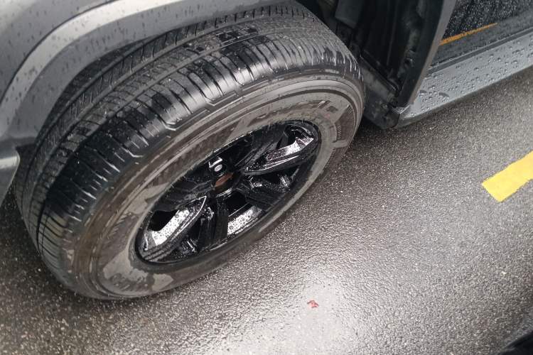 Used Tank 300 2024 2.0T Conqueror
