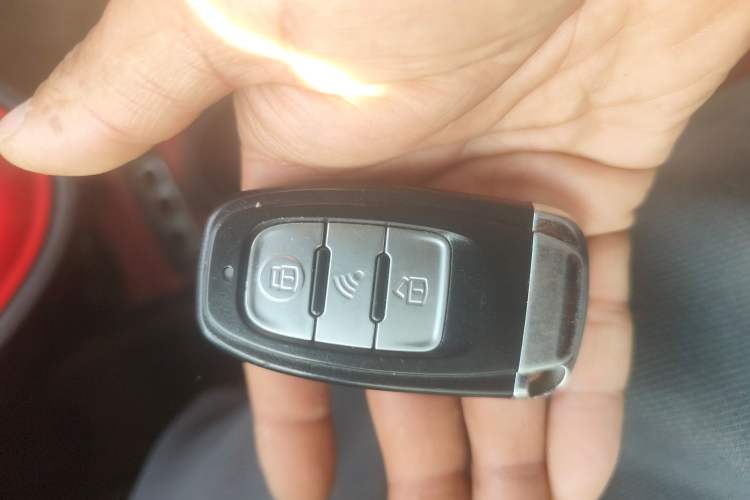 Used ORA Black Cat 2019 351 km Goddess Edition
