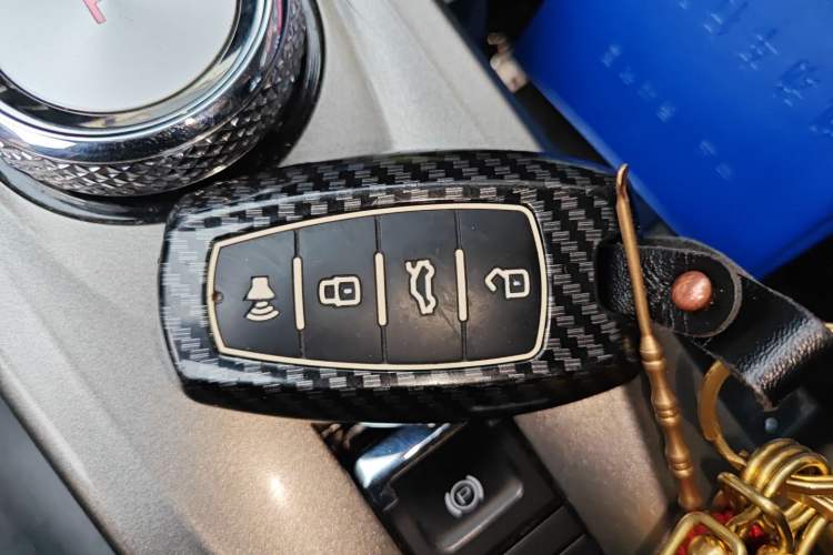 Used Haval DARGO 2021 1.5T DCT Two-Wheel Drive Labrador Edition
