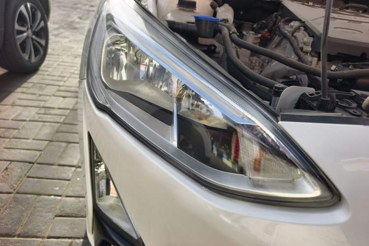 Used Ford Focus 2019 Hatchback EcoBoost 180 Automatic Titanium Edition