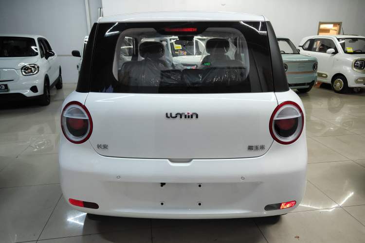 Used Qiyuan Lumin 2025 205 km Xiangqin Version