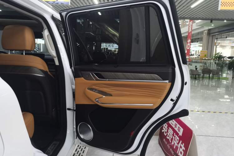 Used Tank 500 New Energy 2025 Hi4-Z Right Rear Door Interior