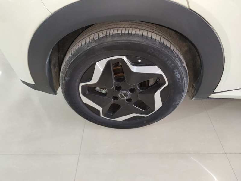 Used BYD Dolphin 2021 405 km Fashion Edition — 25