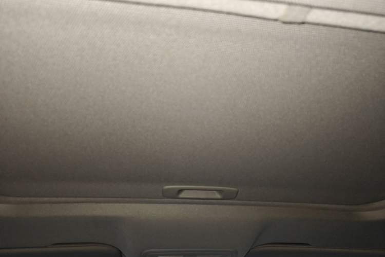 Used Hongqi H5 2019 30TD Dynamic Edition Headliner