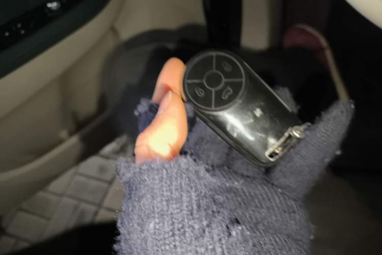 Used ORA Good Cat 2021 400km Standard Range Athena Edition Lithium-Ion Battery