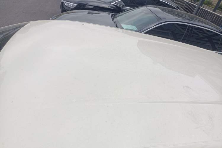 Used BYD Seagull 2024 Honor Edition 305km Freedom Version
