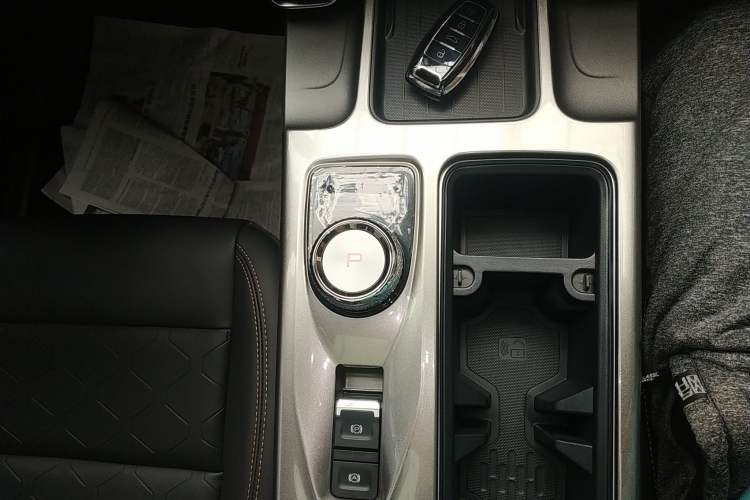 Used Haval DARGO 2024 2.0T DCT Chinese Rural Dog Edition Gear Lever