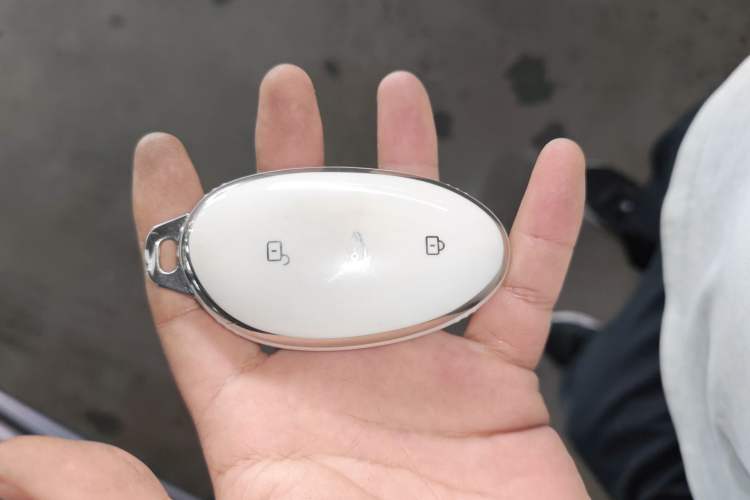 Used Rising R7 2023 Flagship Edition
