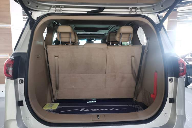 Used Buick GL8 2021 ES Landtrek 653T Luxury Model