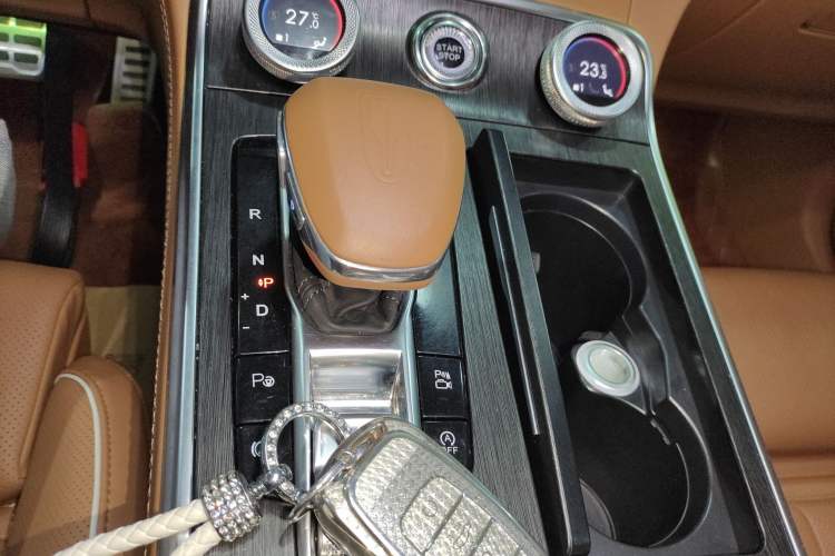 Used Hongqi H9 2022 2.0T Smart Connect Flagship Edition